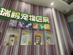 -瑞鹏·疫苗·绝育·宠物医院(金沙洲店)