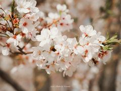 -龙美术馆(西岸馆)