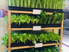 -后宫私房菜(汇客美食娱乐广场店)