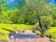 -芦芽山旅游度假区