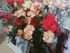 -皇家美孚(麦岛店)