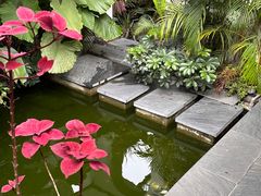 -漫笙舍Manse·咖啡·民宿