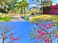 -白石龙音乐公园