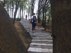-火炉山森林公园