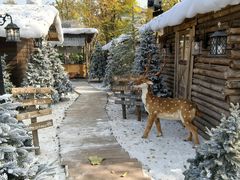 -HERRE·FARM 赫尔露营农场·团建聚会包场