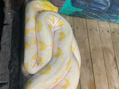 -石家庄市动物园