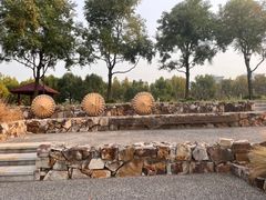 -上海山野camping·户外天幕烧烤·团建拓展营地