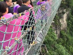 -梦幻奥陶纪景区