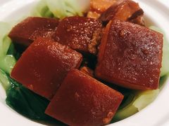 一品东坡肉-眉州东坡(团结湖店)