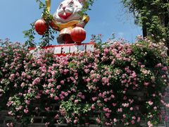 -老门东历史文化街区