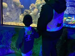 -福州罗源湾海洋世界旅游区