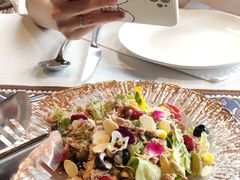 -一棵树·意大利西餐厅One Tree(新城店)