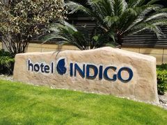 -上海外滩英迪格酒店