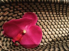-Dragonfly悠庭·按摩Spa(静安嘉里中心店)