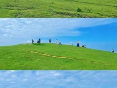 -大姆山草场