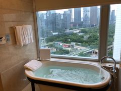 -深圳星河丽思卡尔顿酒店