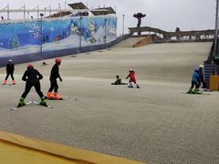 -美的鹭湖探索王国