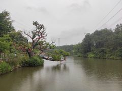 -清境桃源