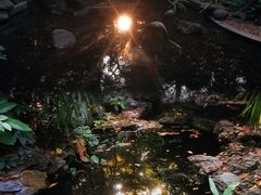 -广州兰圃