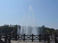 -上海鲜花港