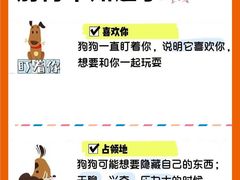 -翊宠yipet猫狗购宠庄园犬舍•猫舍