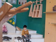 -飞行喵MR PILOT|猫舍·猫咖(静安大融城店)