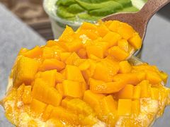 -茉酸奶(春熙路店)