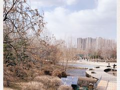 -长白岛森林公园