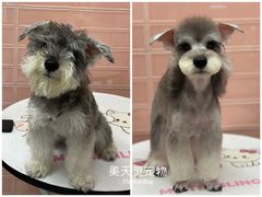 -FAELING PETS美天灵宠物(合生汇店)