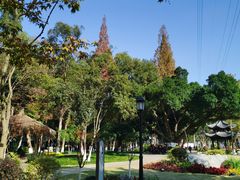 -墨池公园