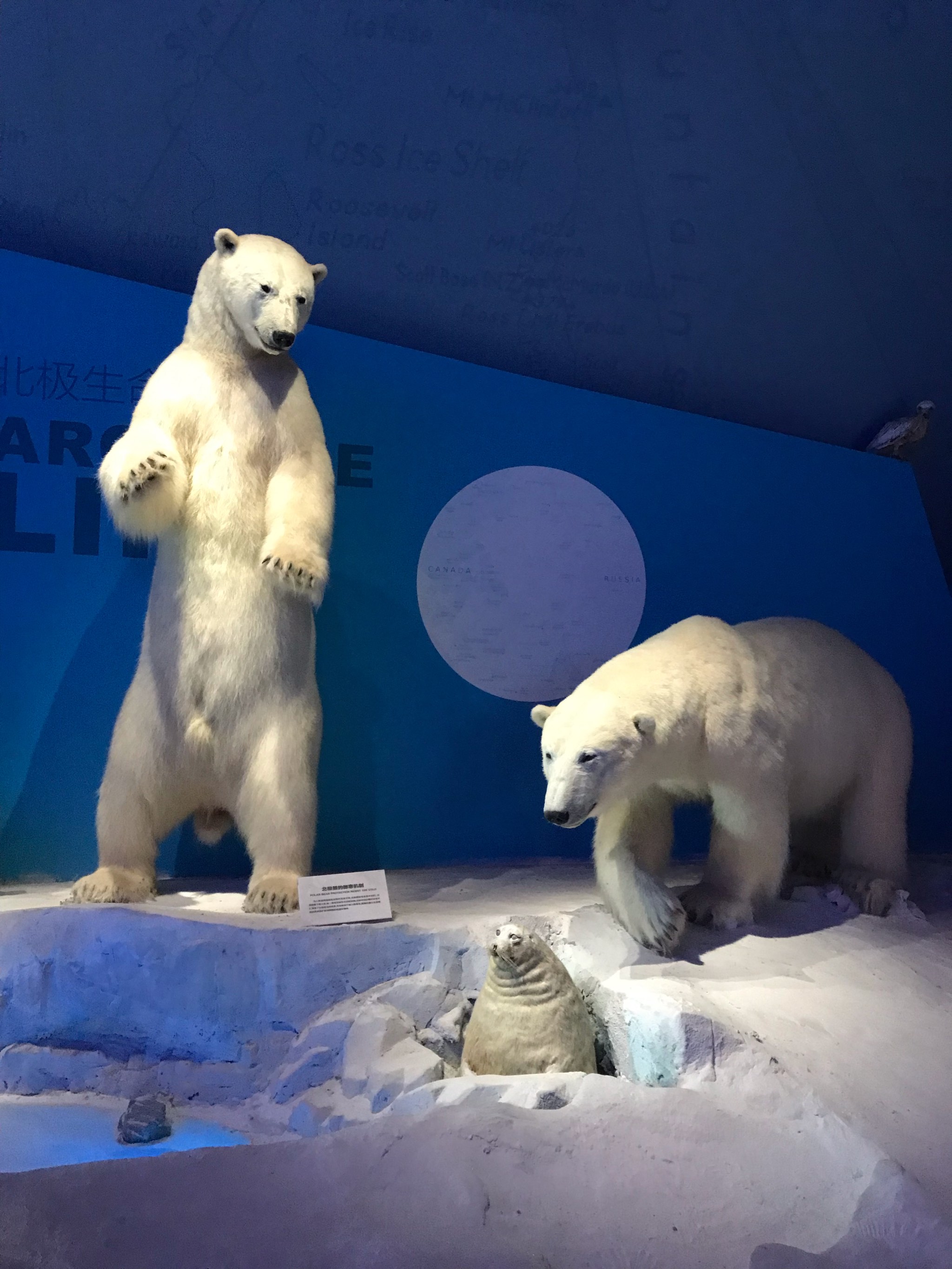 动物狂欢节水族馆图片