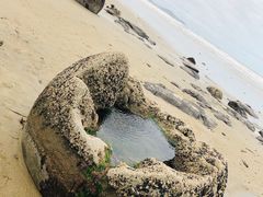 -摩拉基大圆石