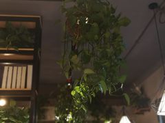 -管氏翅吧(护国寺店)