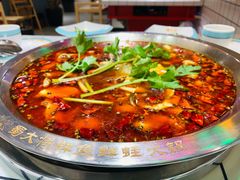 -蛙一刀·麻椒鱼火锅(金仙桥店)