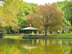 -上海共青森林公园