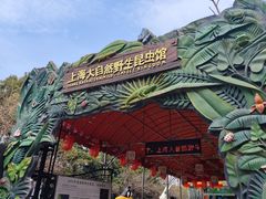 -上海大自然野生昆虫馆(东方明珠·爬宠昆虫探索中心)