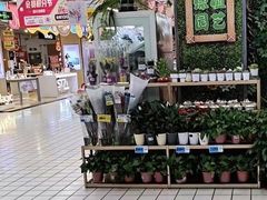 -大润发(康桥店)