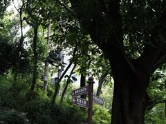 -南山植物园