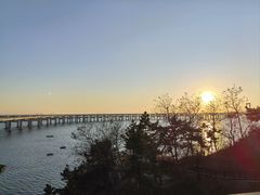 -星海湾跨海大桥