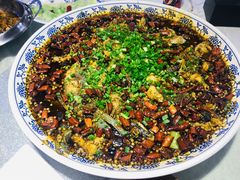 来凤鱼-新概念来凤鱼(璧山店)