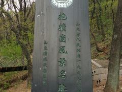 -抱犊崮国家森林公园