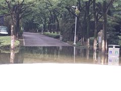 -白塘生态植物园