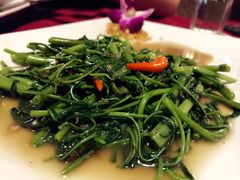 -Daddy Nimman Chiang Mai