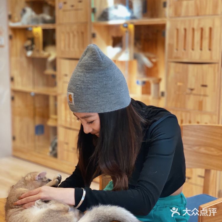 ❗️西安首家独栋别墅猫咖❗️🐈大唐御猫馆🎀