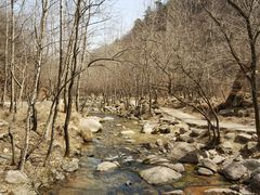 -玉渡山自然风景区