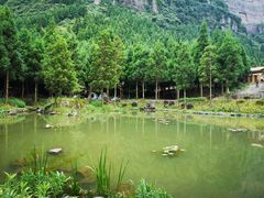 -重庆睡佛山森林公园