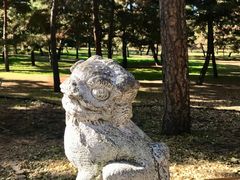 -沈阳市东陵公园