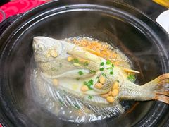 -蛇口康乐快餐鱼仔档(翠苑小区店)