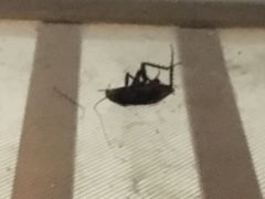 -GymPlus特色拳击健身(阳光名苑店)