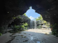 -新加坡飞禽公园